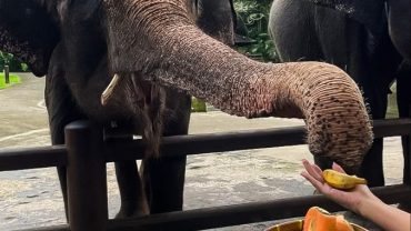 10 Thai Customs That Might Suprise You