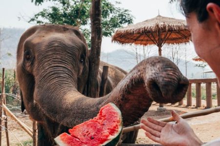 Turismo Paradise Isla Koh Rong Cambodia 2 Días 1 Noche
